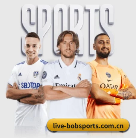 bob体育官网入口 APP - BOBSPORTS
